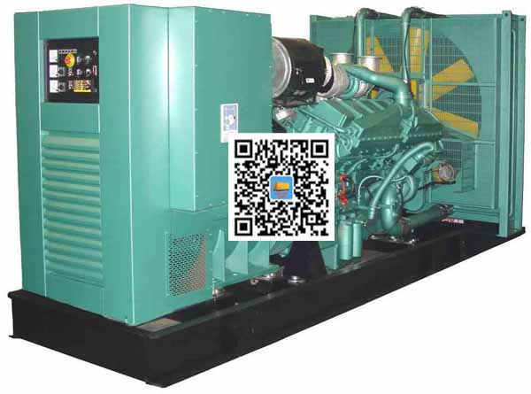 大理笼型异步发电机的电力电子控制技术